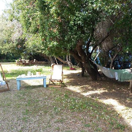 Villa Feia Katakolo Dış mekan fotoğraf