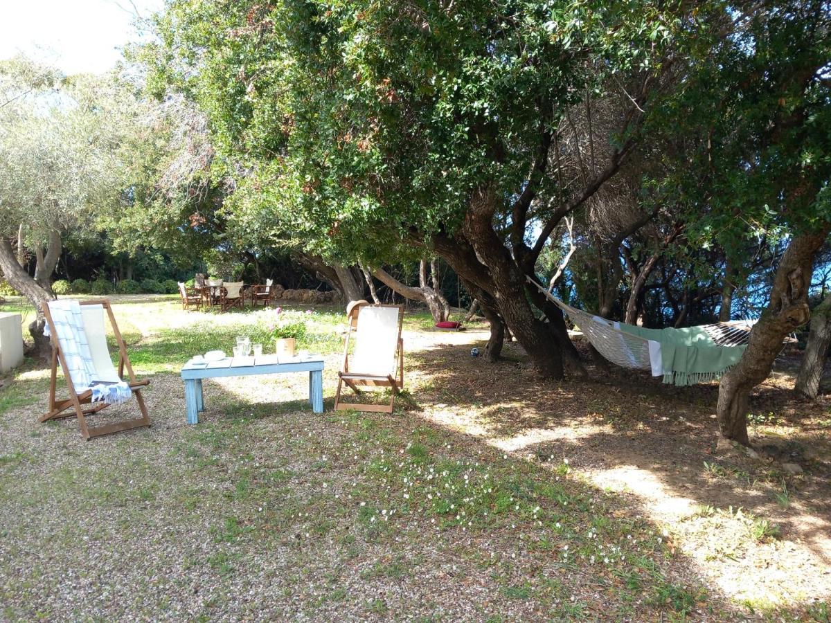 Villa Feia Katakolo Dış mekan fotoğraf