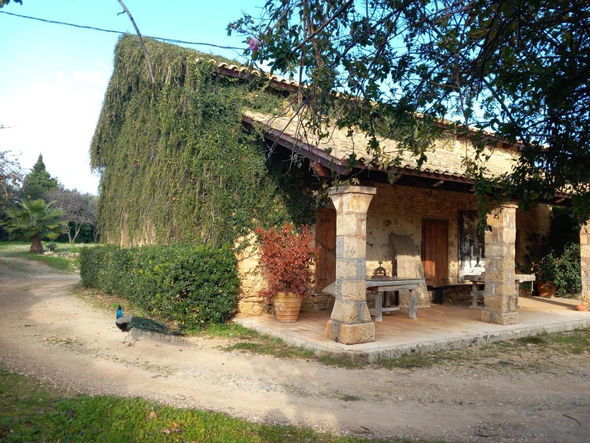 Villa Feia Katakolo Dış mekan fotoğraf