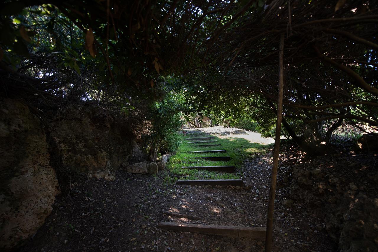 Villa Feia Katakolo Dış mekan fotoğraf
