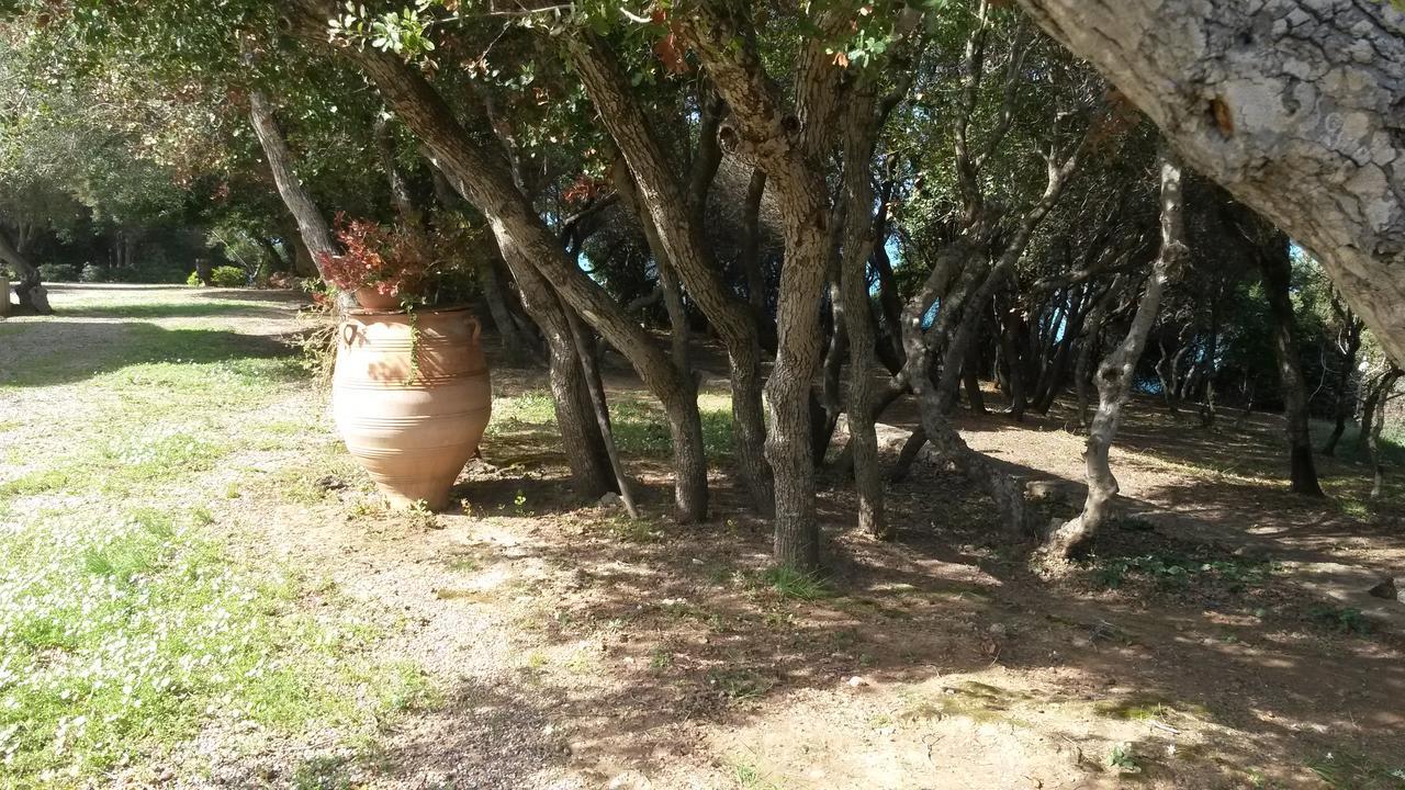 Villa Feia Katakolo Dış mekan fotoğraf