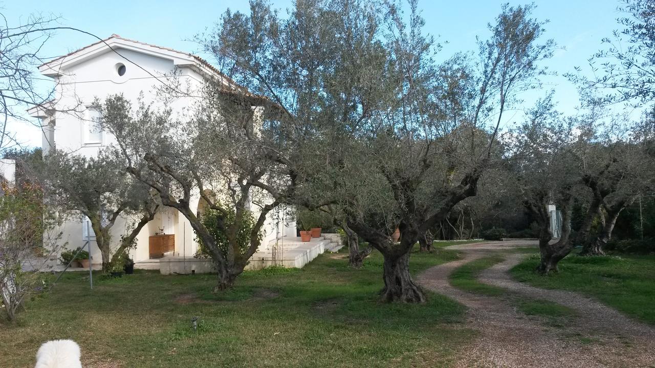 Villa Feia Katakolo Dış mekan fotoğraf