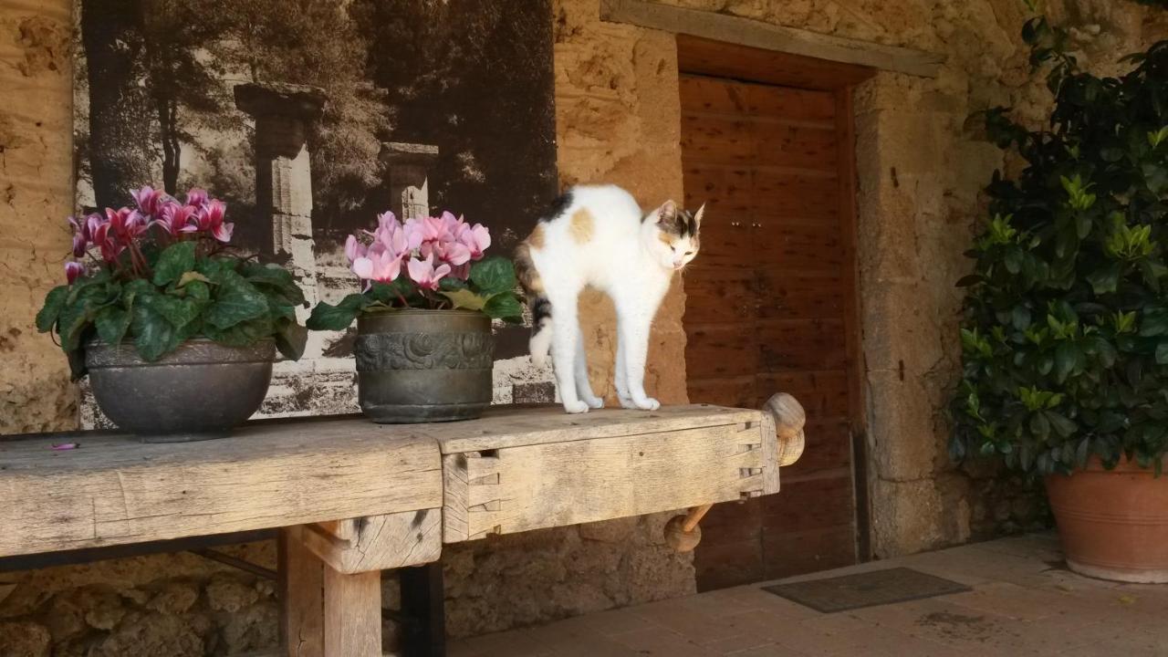 Villa Feia Katakolo Dış mekan fotoğraf
