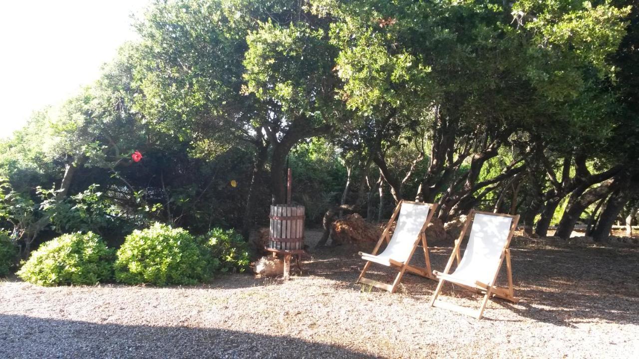 Villa Feia Katakolo Dış mekan fotoğraf